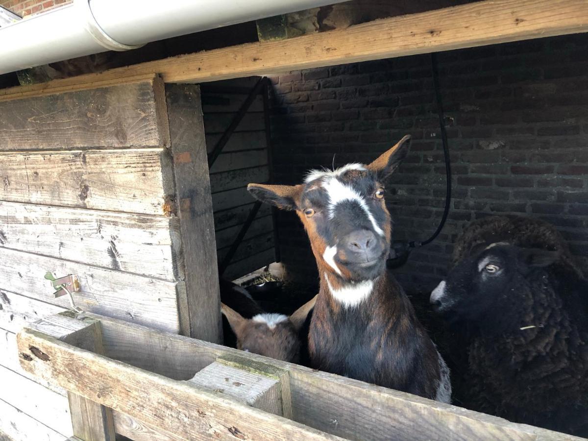 Hoeve De Binnenplaets Schimmert Esterno foto