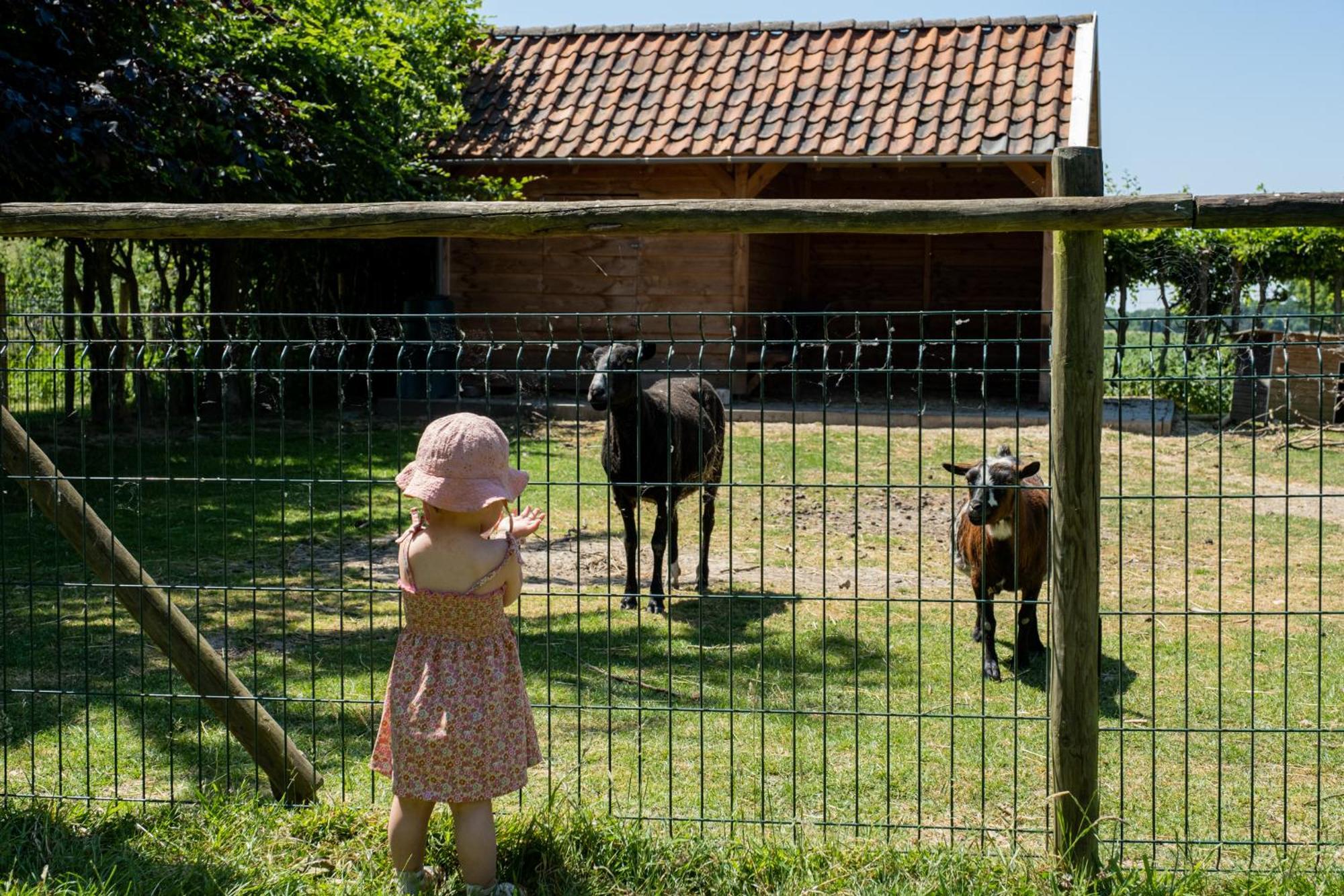 Hoeve De Binnenplaets Schimmert Esterno foto